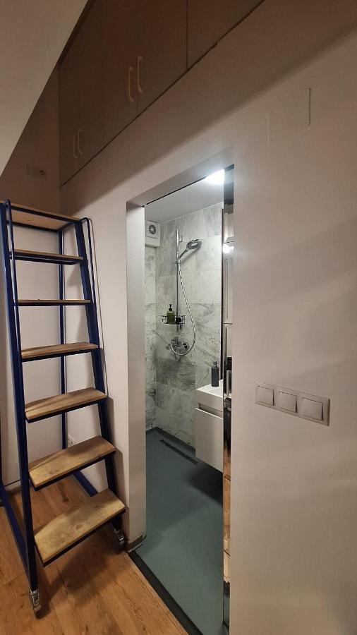 Swanhome - Central Apartment Cluj-Napoca Eksteriør billede