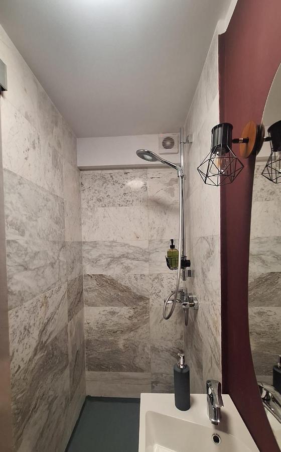 Swanhome - Central Apartment Cluj-Napoca Eksteriør billede